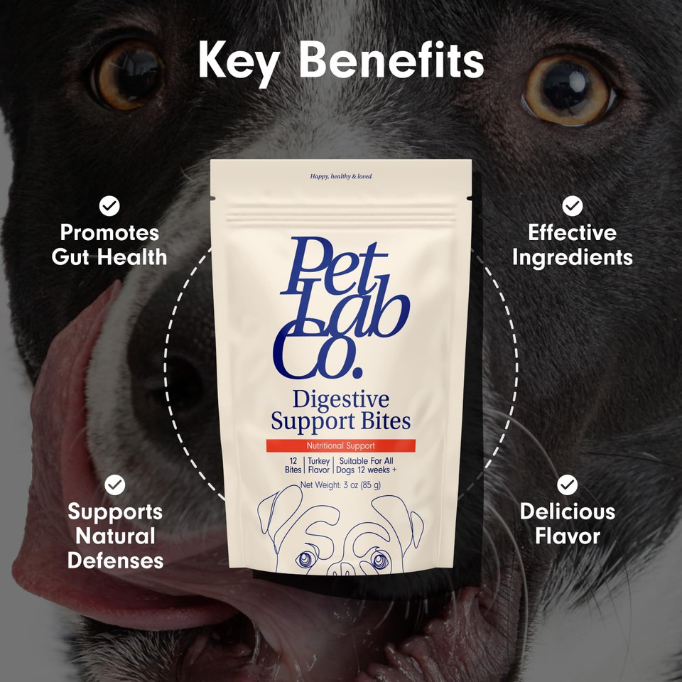Petlab Co. Digestive Support Bites - Dog Training Treats - Chewy Dog Treats To Support Gut Health - Training Treats For Dogs - Premium Ingredients And Nutritional Benefits - Delicious Puppy Treats Petlab Co. Digestive Support Bites - Dog Training Treats - Chewy Dog Treats To Support Gut Health - Training Treats For Dogs - Premium Ingredients And Nutritional Benefits - Delicious Puppy Treats
