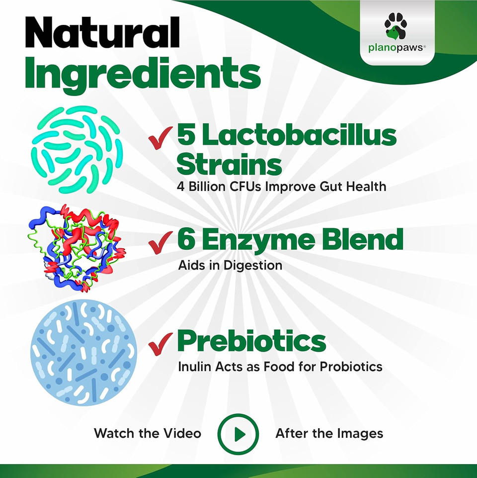 Probiotics For Dogs Digestive Health - Dog Probiotics And Digestive Enzymes - Allergy Relief For Dogs - Probiotic For Dogs Gut Health - Puppy Probiotic Tummy Treats - 120 Dog Probiotic Chews