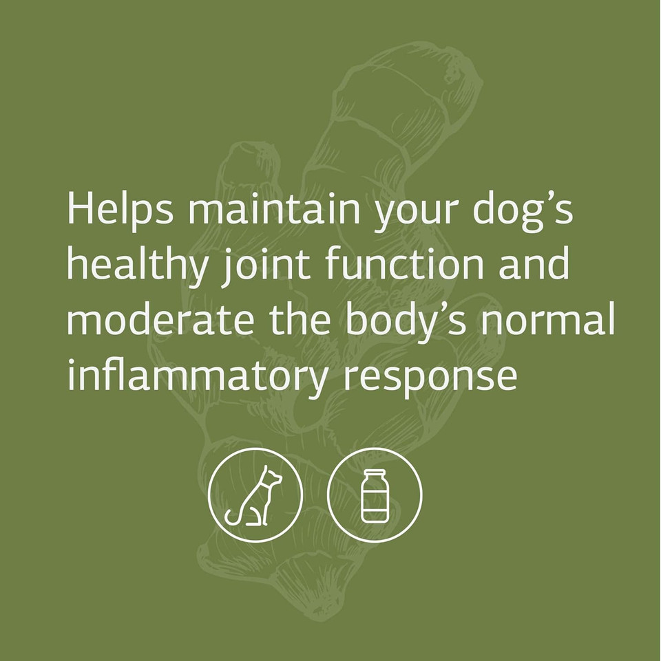 Standard Process Canine Flex Support - Joint & Immune Health Support Supplement For Dogs - Chewable Wafers For Healthy Joint Function Support - Nutritional Whole Food Supplement - 100 Wafers