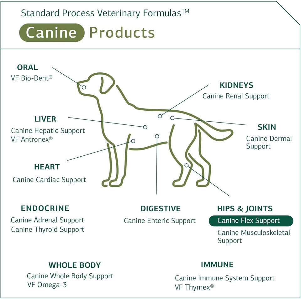 Standard Process Canine Flex Support - Joint & Immune Health Support Supplement For Dogs - Chewable Wafers For Healthy Joint Function Support - Nutritional Whole Food Supplement - 100 Wafers
