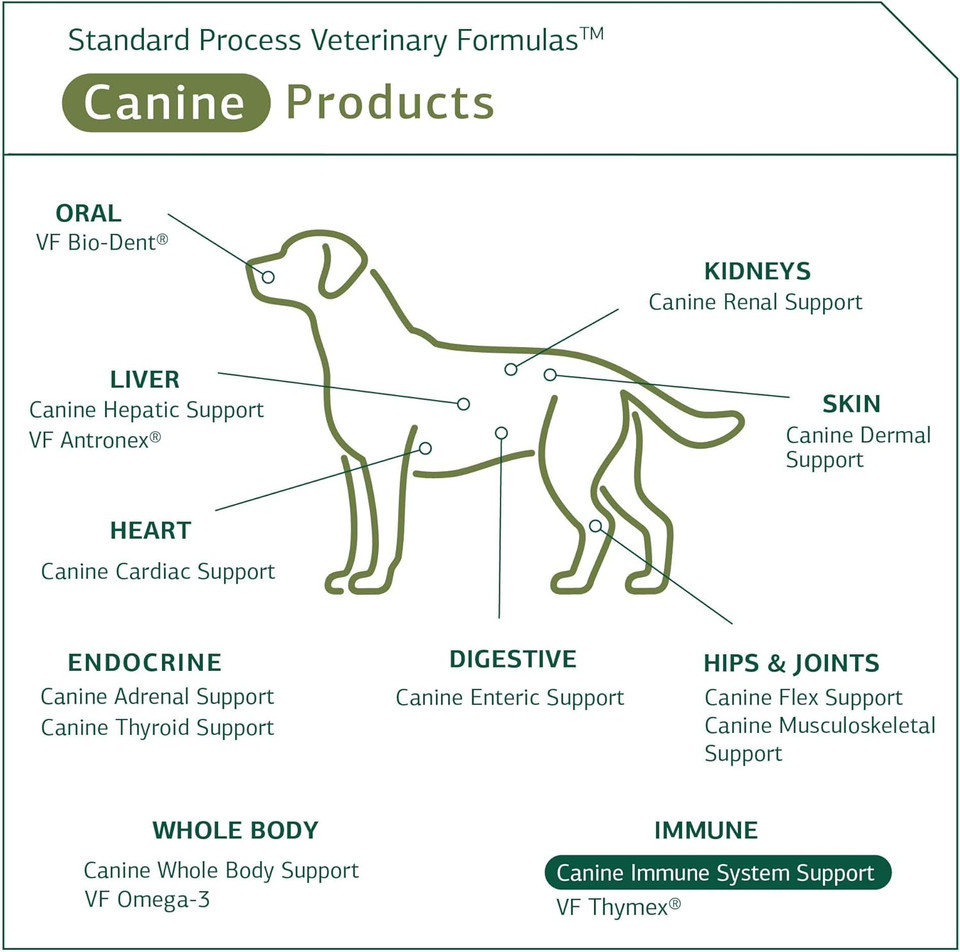 Standard Process Canine Immune 110 Grams