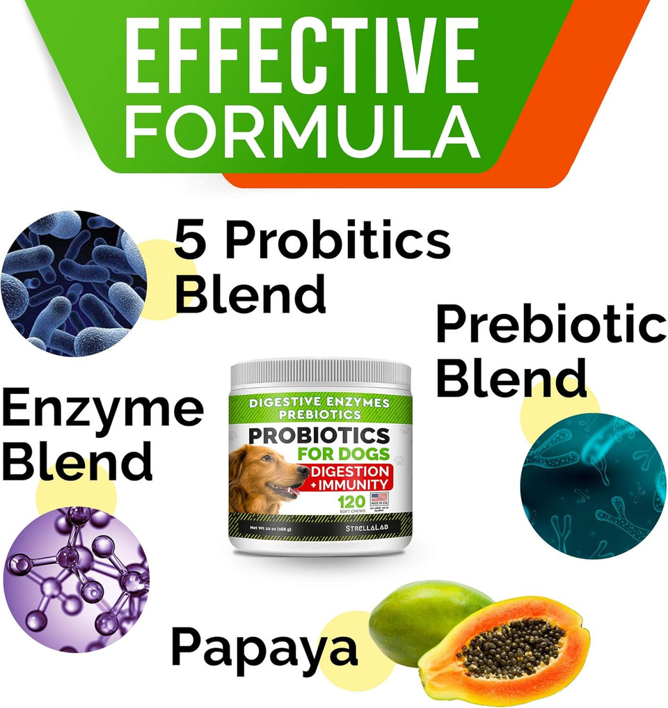 Strellalab Pet Probiotics For Dogs & Digestive Enzymes - Digestion & Gut Health Treats, Dog Probiotics Chews, Fiber Supplement, Anti Diarrhea, Constipation, Upset Stomach&Gas Relief, Canine Prebiotic Strellalab Pet Probiotics For Dogs & Digestive Enzymes - Digestion & Gut Health Treats, Dog Probiotics Chews, Fiber Supplement, Anti Diarrhea, Constipation, Upset Stomach&Gas Relief, Canine Prebiotic