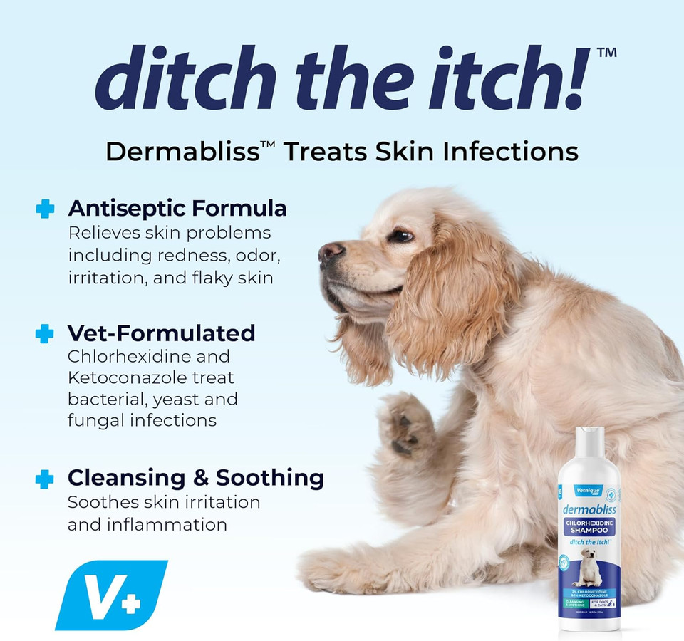 Vetnique Dermabliss Chlorhexidine For Dogs Skin Health - Antibacterial Medicated Dog Shampoo - For Skin Infections & Irritation, Hot Spots & Redness Relief (Medicated Shampoo, 16Oz)