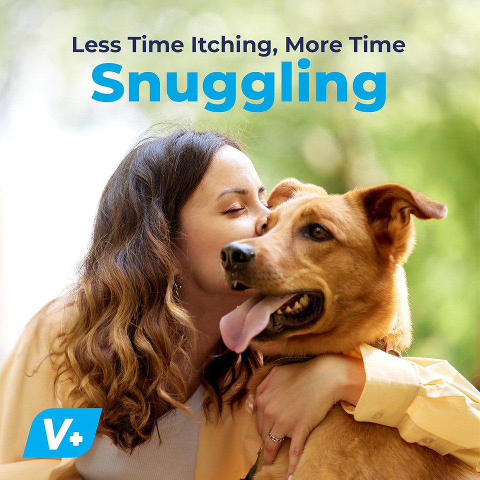 Vetnique Dermabliss Dog Allergy Relief & Immune Support Supplement Allergy Chews For Dogs Itching And Licking With Omega 3 Fish Oil & Probiotics For Itch Relief - Vet Recommended (30Ct Chews)