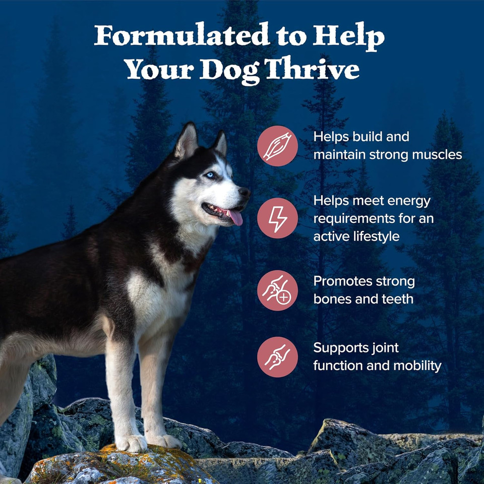 Blue Buffalo Wilderness Natural High-Protein Dry Food For Adult Dogs, Salmon Recipe, 13-Lb. Bag