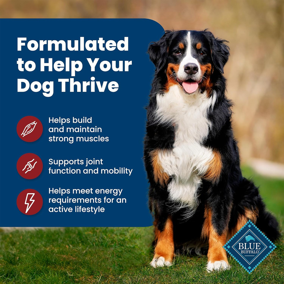 Blue Buffalo Life Protection Formula Adult Dry Dog Food, Helps Build And Maintain Strong Muscles, Made With Natural Ingredients, Beef & Brown Rice Recipe, 30-Lb. Bag