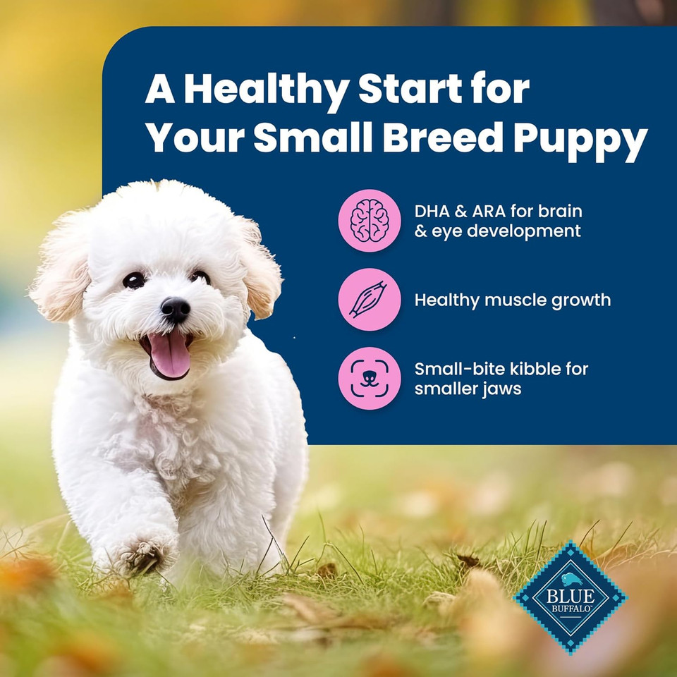 Blue Buffalo Life Protection Formula Small Breed Puppy Dry Dog Food With Dha, Vital Nutrients & Antioxidants, Made With Natural Ingredients, Chicken & Oatmeal Recipe, 5-Lb. Bag