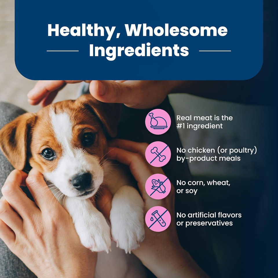 Blue Buffalo Life Protection Formula Small Breed Puppy Dry Dog Food With Dha, Vital Nutrients & Antioxidants, Made With Natural Ingredients, Chicken & Oatmeal Recipe, 5-Lb. Bag