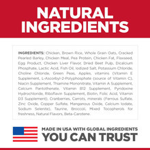 Hill'S Science Diet Puppy, Puppy Premium Nutrition, Dry Dog Food, No Corn, Wheat, Soy Chicken & Brown Rice, 4 Lb Bag