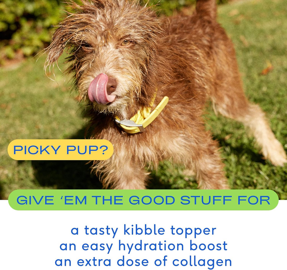 Native Pet Bone Broth For Dogs And Cats  Chicken Broth For Cats & Dogs - Dog Bone Broth Powder, Dog Food Topper For Picky Eaters - Dog Gravy Topper For Dry Food  Dog Broth & Cat Broth  5.75 Oz