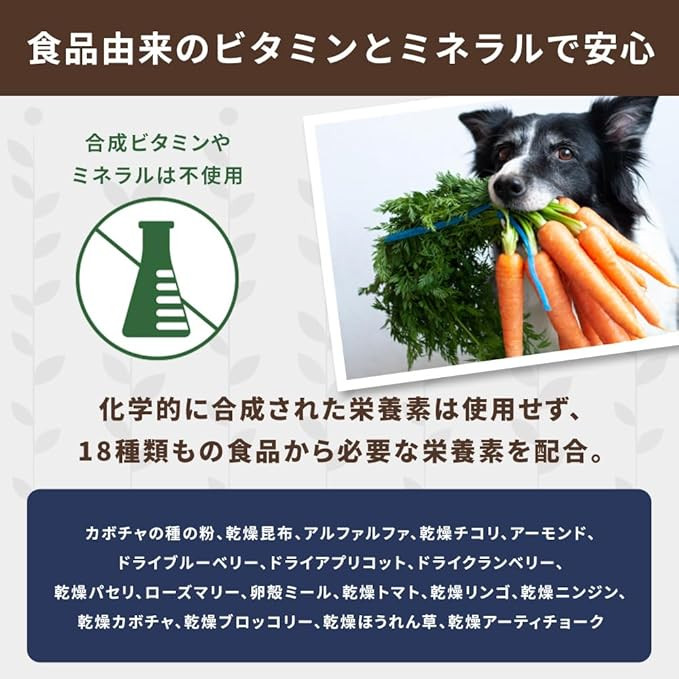 Nature'S Logic Canine Turkey Meal Feast, 4.4Lbs