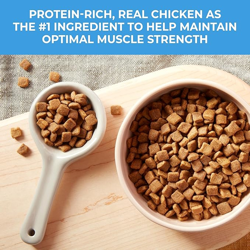 Nature's Recipe Grain Free Puppy Dry Dog Food, Chicken, Sweet Potato & Pumpkin Recipe, 4 lb Bag