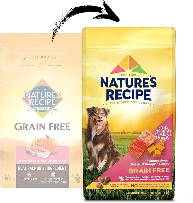 Natures Recipe Grain Free Salmon, Sweet Potato & Pumpkin Recipe Dry Dog Food, 4 Lb. Bag
