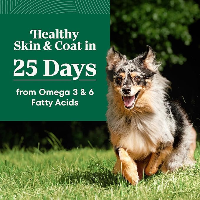 Nutro Natural Choice Senior Small Breed Dry Dog Food, Chicken And Brown Rice Recipe, 5 Lbs