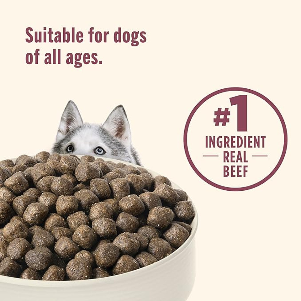 Rachael Ray Nutrish Peak Natural Dry Dog Food With Added Vitamins, Minerals & Taurine, Open Prairie Recipe With Beef, Venison & Lamb, 4 Pounds, Grain Free (Packaging May Vary)