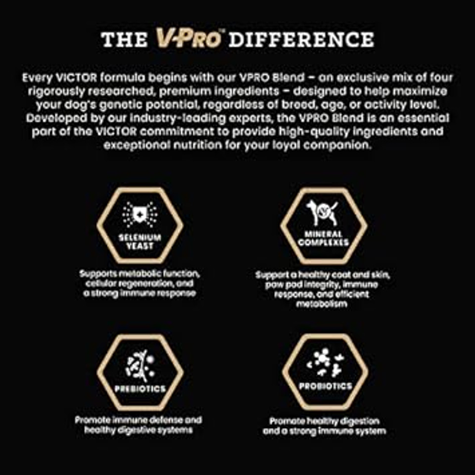 Victor Super Premium Dog Food  Multi-Pro Dry Dog Food  Gluten Free Dog Food With Beef, Chicken And Pork Protein For Normally Active Dogs  All Breeds And All Life Stages, 5 Lb Victor Super Premium Dog Food  Multi-Pro Dry Dog Food  Gluten Free Dog Food With Beef, Chicken And Pork Protein For Normally Active Dogs  All Breeds And All Life Stages, 5 Lb