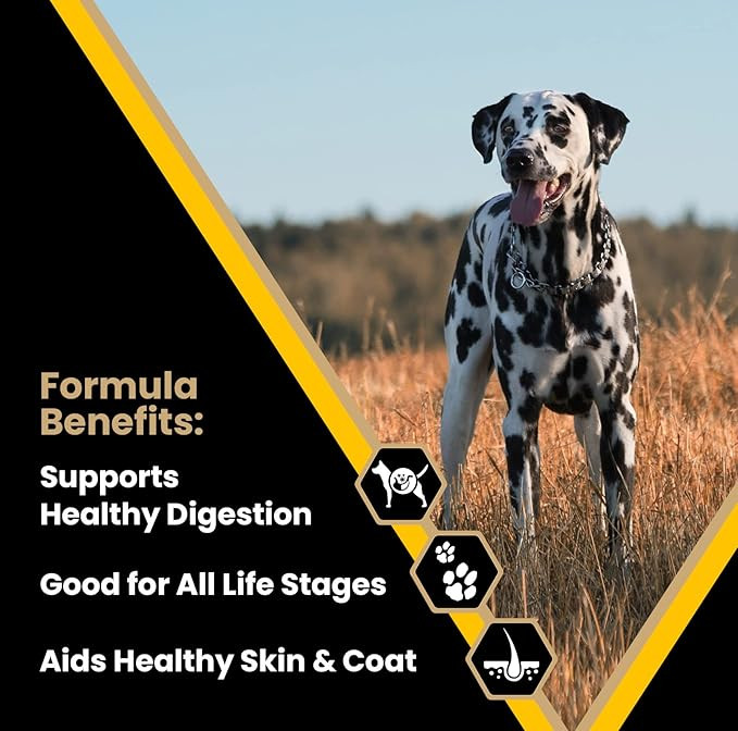 Victor Super Premium Dog Food  Multi-Pro Dry Dog Food  Gluten Free Dog Food With Beef, Chicken And Pork Protein For Normally Active Dogs  All Breeds And All Life Stages, 5 Lb