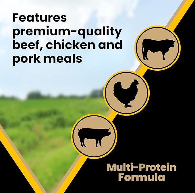 Victor Super Premium Dog Food  Multi-Pro Dry Dog Food  Gluten Free Dog Food With Beef, Chicken And Pork Protein For Normally Active Dogs  All Breeds And All Life Stages, 5 Lb