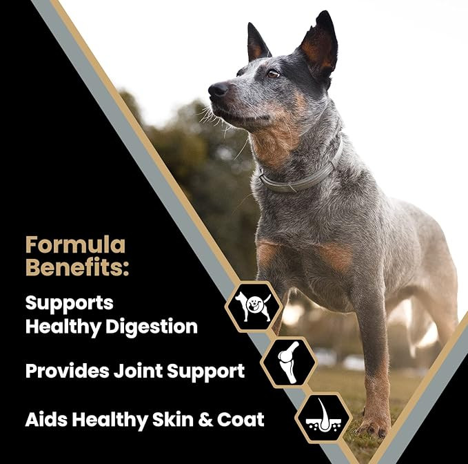 Victor Super Premium Dog Food – Realtree® Edge Energy Dry Dog Food – For Highly Active Dogs – Gluten-Free – With Glucosamine & Chondroitin – 5 lb