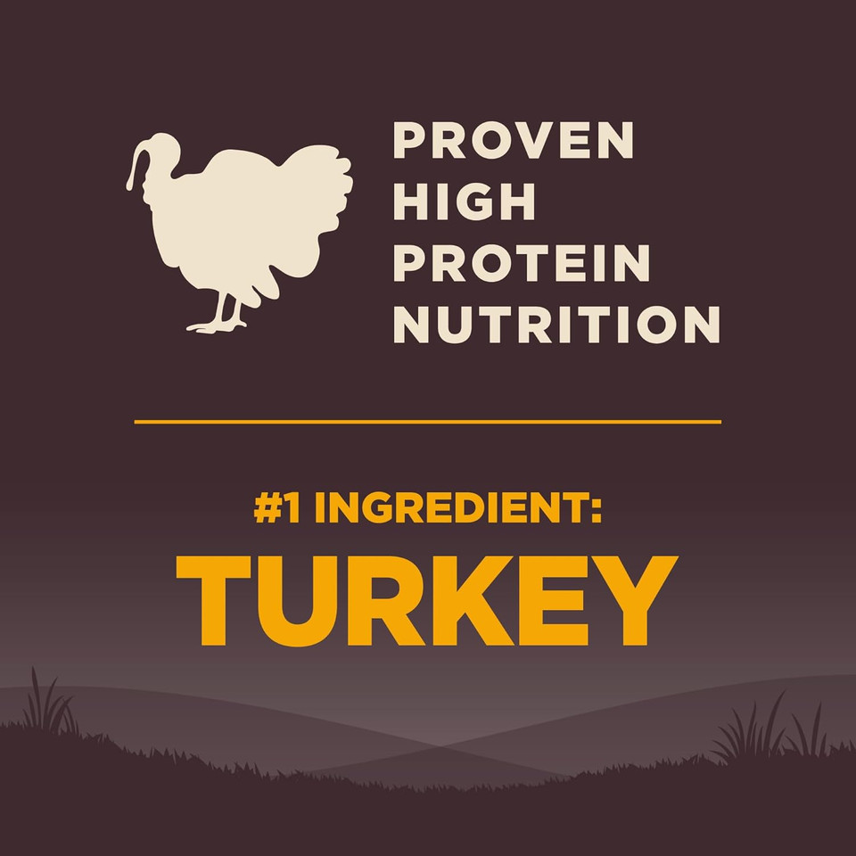 Wellness Natural Pet Food Core Grain-Free High-Protein Small Breed Dry Dog Food, Natural Ingredients, Made In Usa With Real Meat (Puppy ,Turkey, 12-Pound Bag)