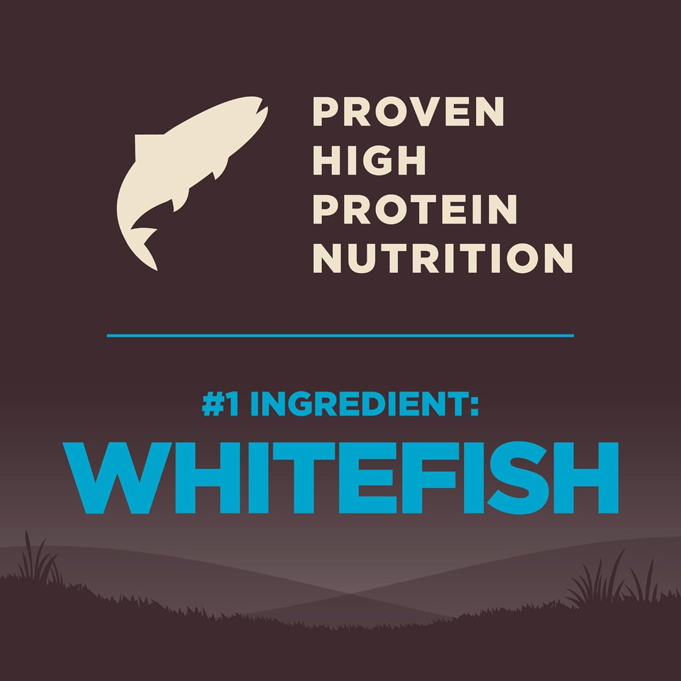 Wellness Core Wholesome Grains Ocean Recipe, 22 Pound Bag