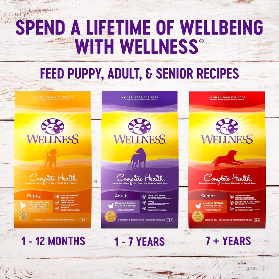Whimzees Natural Grain-Free Dog Dental Chews, Large Breed, Variety Pack, 14 Count Bundle + Wellness Complete Health Large Breed Dry Dog Food, Chicken & Salmon, 15-Pound Bag