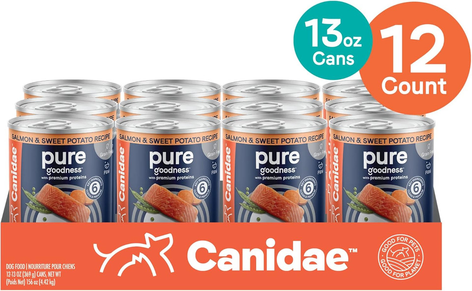 Canidae Pure Adult Wet Dog Food, Salmon & Sweet Potato, 13 Oz