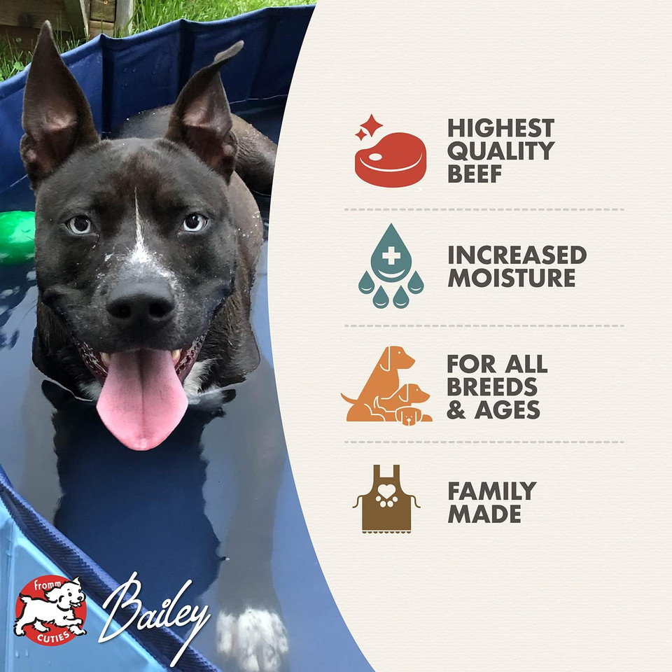 Fromm Four-Star Nutritionals Shredded Beef In Gravy Entrã£Â©E Dog Food - Premium Wet Dog Food - Beef Recipe - Case Of (12) 12 Oz Cans