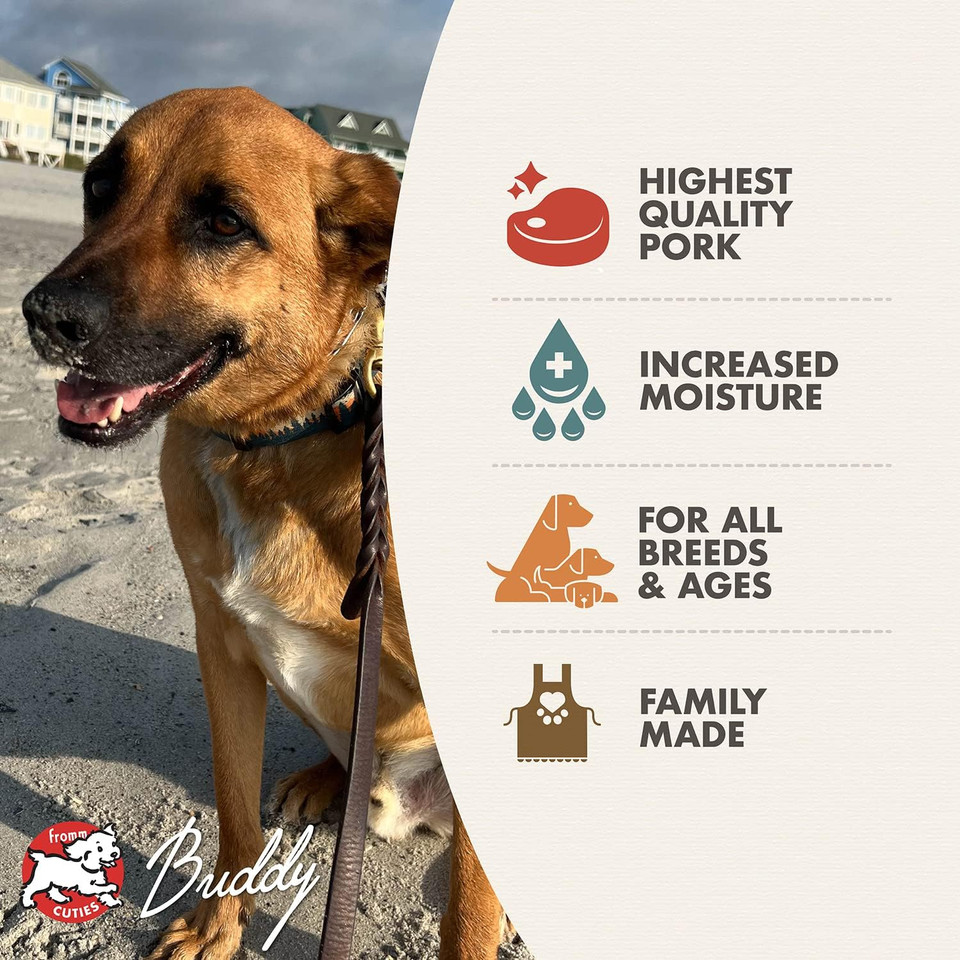 Fromm Four-Star Nutritionals Shredded Pork In Gravy Entrã£Â©E Dog Food - Premium Wet Dog Food - Pork Recipe - Case Of (12) 12 Oz Cans