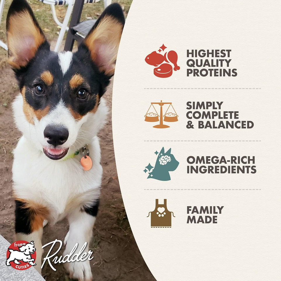 Fromm Classic Pate Dog Food - Premium Wet Dog Food - Case Of 12 Cans