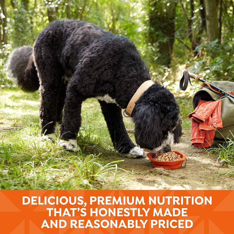 Nature'S Recipe Grain Free Chicken Recipe In Savory Broth Wet Dog Food, 2.75 Oz. Cup, 12 Count