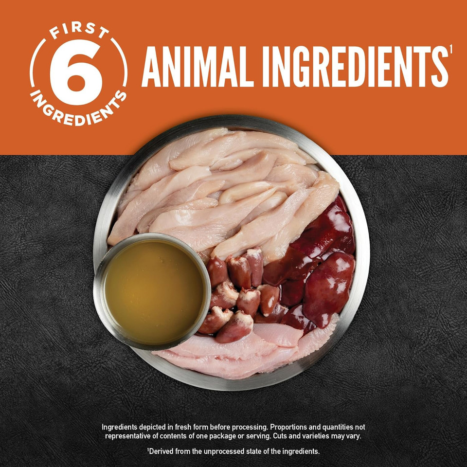 Orijenã¢Â Chicken Recipe Pã£Â¢Tã£Â© With Liver Wet Dog Food (Case Of 12)