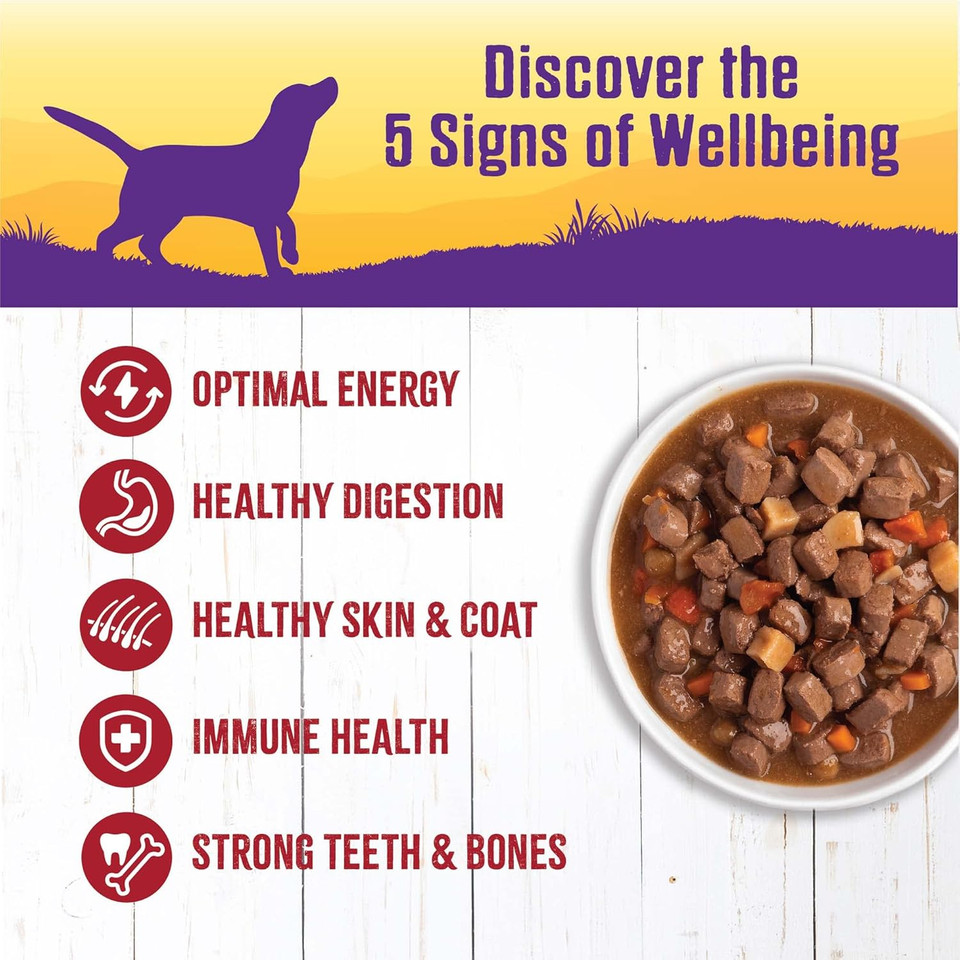 Wellness Complete Health Thick & Chunky Natural Grain Free Canned Wet Dog Food, Beef Stew, 12.5-Ounce Can (Pack Of 12)