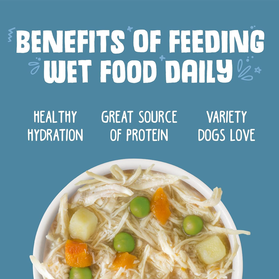 Weruva Classic Dog Food, Grandma'S Chicken Soup With Chicken Breast & Veggies, 5.5Oz Can (Pack Of 24), Blue (4124)