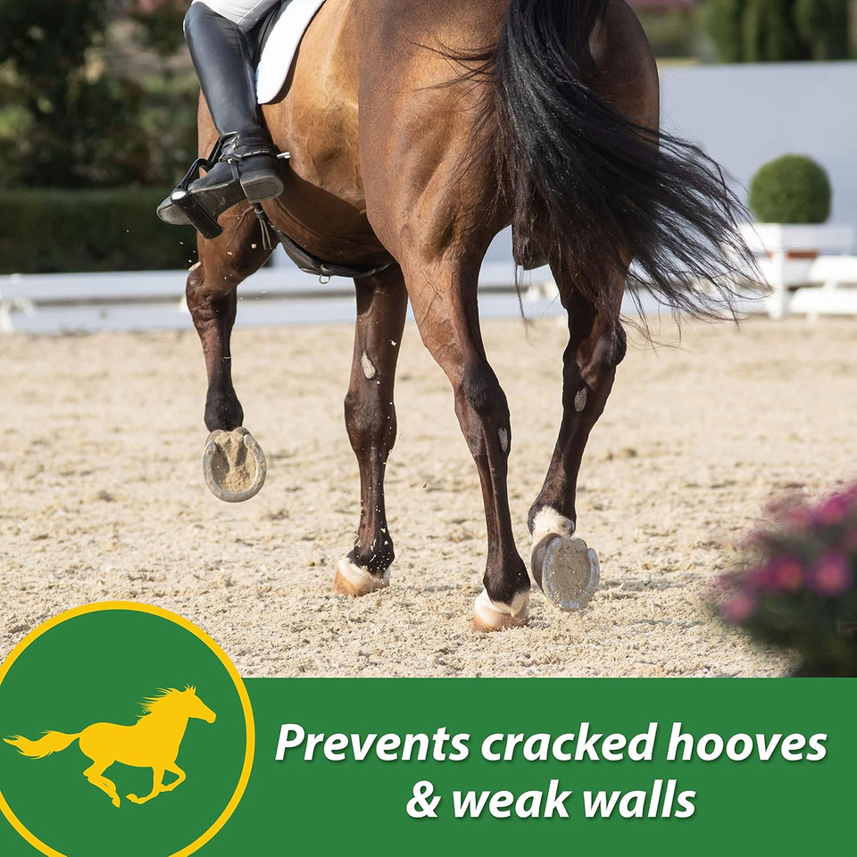 Farnam Hb 15 Hoof Supplement, Supports Healthy Hoof Growth 7 Pound, 112 Day Supply