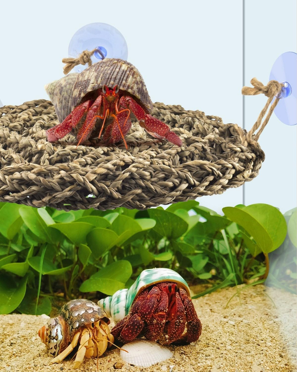 Katumo Reptile Hammock Hermit Crab Climbing Toy Bearded Dragon Lounger Lizard Terrarium Grass Hammock For Lizard Chameleon Gecko Hermit Crab Snake Hamster Parrot Small Pets