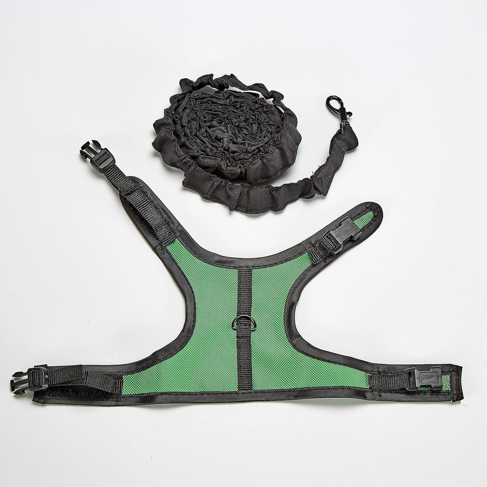 Kaytee Comfort Harness & Stretchy Leash, Medium