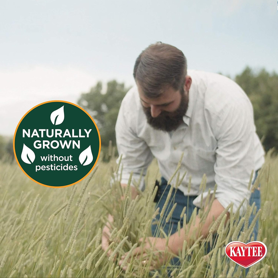 Kaytee All Natural Timothy Hay Plus Mint For Guinea Pigs, Rabbits & Other Small Animals, 24 Ounce