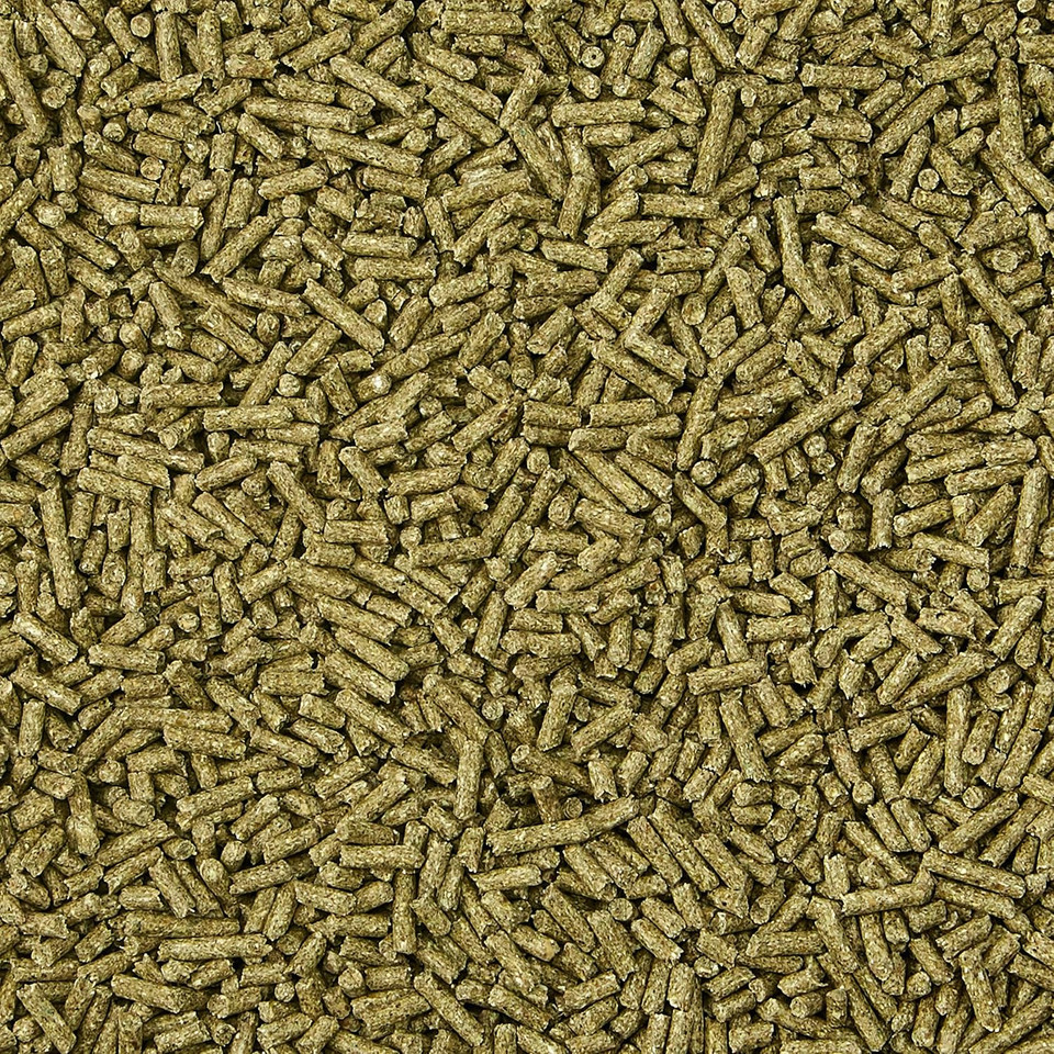 Kaytee Timothy Complete Pet Chinchilla Food, 3 Pound