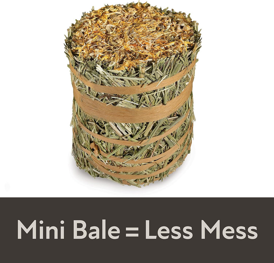 Kaytee Field+Forest Mini Hay Bales Marigold 3.5 Ounces