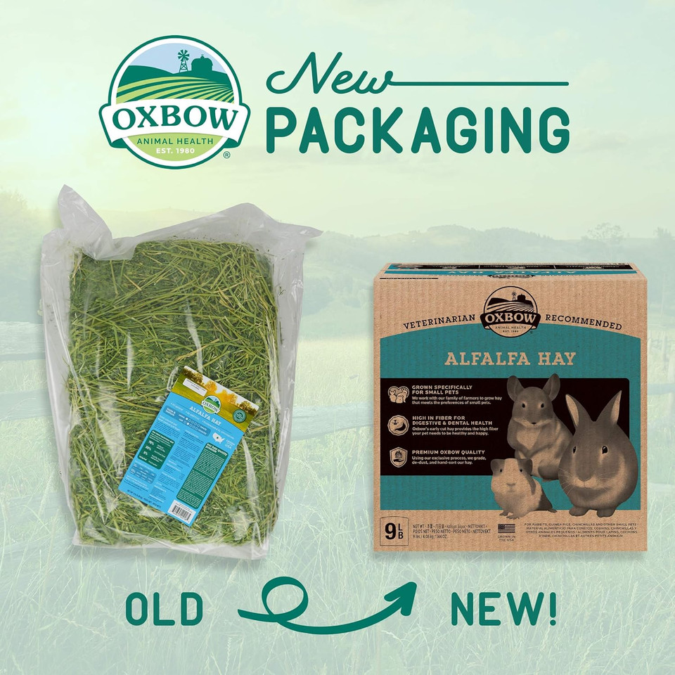 Oxbow Animal Health Alfalfa Hay - All Natural Hay For Young, Pregnant, Or Nursing Small Pets - 9 Lb