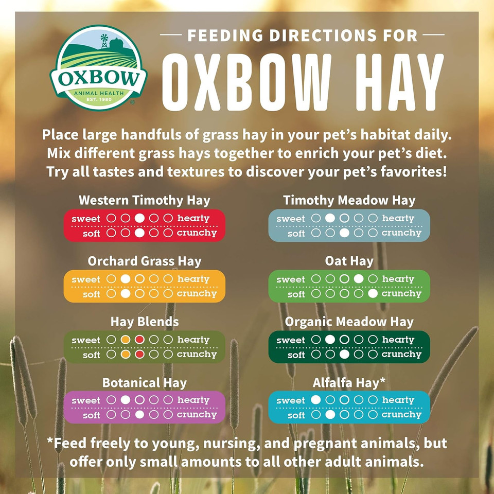 Oxbow Animal Health Alfalfa Hay - All Natural Hay For Young, Pregnant, Or Nursing Small Pets - 9 Lb