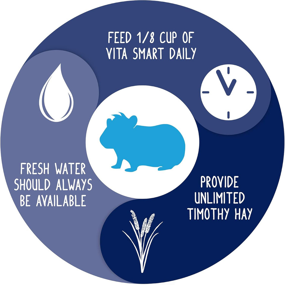 Vitakraft Vita Smart Guinea Pig Food - Complete Nutrition - Premium Fortified Blend With Timothy Hay For Guinea Pigs, 8 Pound (Pack Of 1)