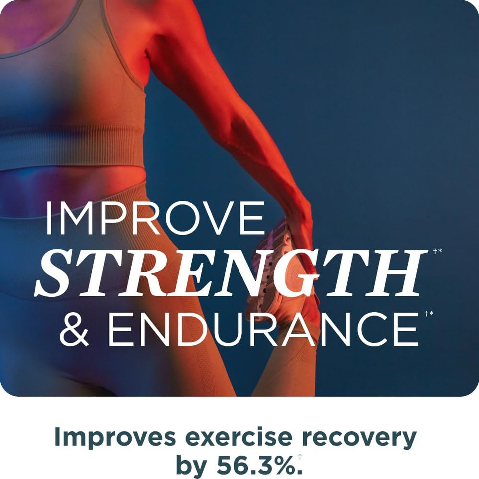 Ancient Nutrition Advanced Collagen Protein Muscle With Probiotics, Hydrolyzed Collagen Peptides Supports Healthy Body Composition* And Muscle Building*, 90 Count