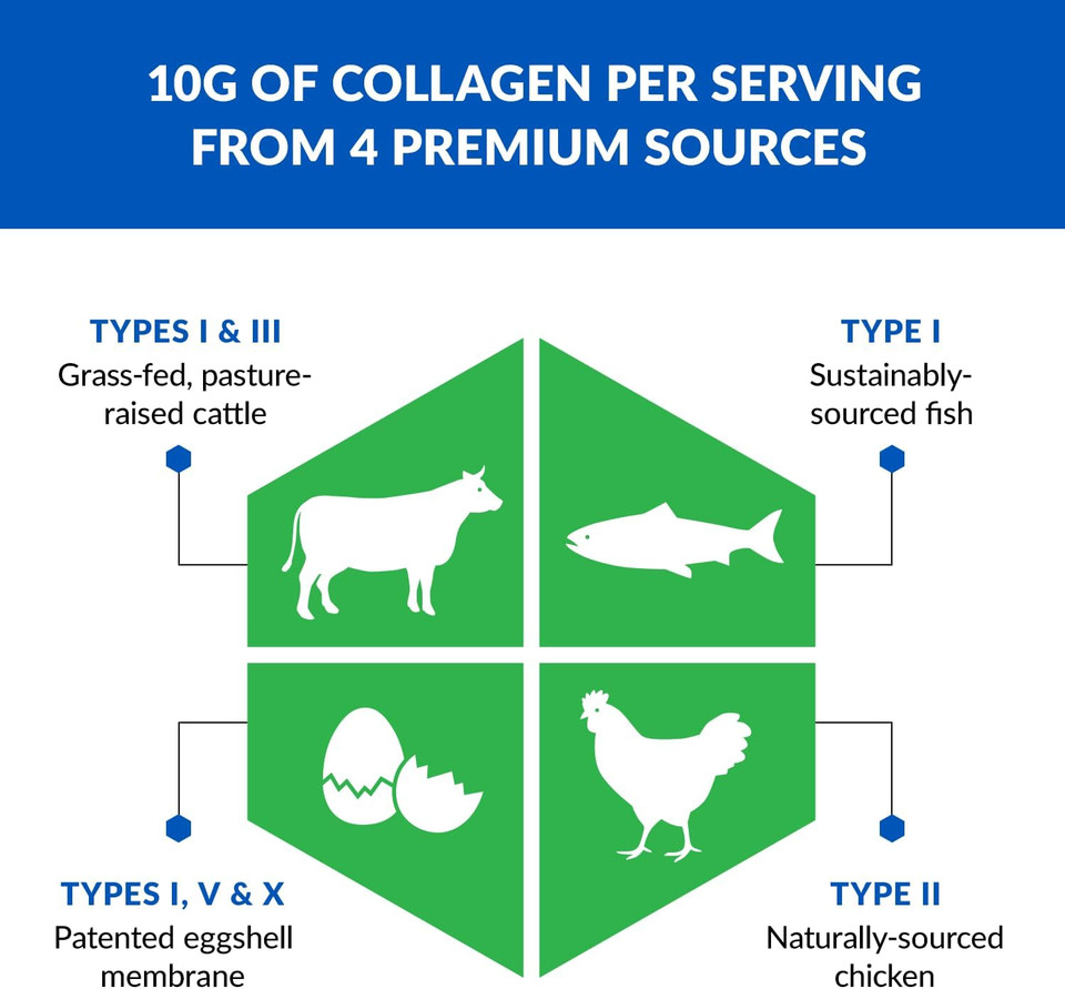 Biotrust Collagen Powder With Turmeric  5 Types (I, Ii, Iii, V, X)  Turmeric Collagen Powder For Women & Men  Hydrolyzed Protein  Grass Fed Beef, Fish, Chicken, Eggshell Membrane (Golden Milk)