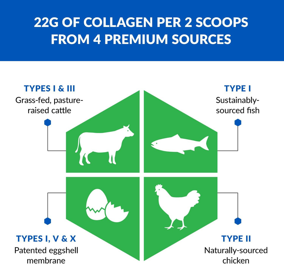 Biotrust Ageless Multi Collagen Peptides Powder  5 Types (I, Ii, Iii, V, X)  Vanilla Collagen Powder For Women & Men  Hydrolyzed Protein  Grass Fed Beef, Fish, Chicken, Eggshell Membrane Biotrust Ageless Multi Collagen Peptides Powder  5 Types (I, Ii, Iii, V, X)  Vanilla Collagen Powder For Women & Men  Hydrolyzed Protein  Grass Fed Beef, Fish, Chicken, Eggshell Membrane