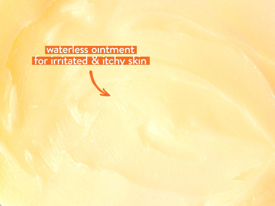 Babo Botanicals Sensitive Baby Fragrance-Free All Natural Healing Ointment - 99% Organic & 1% Colloidal Oat - Steroid-Free - Nsf Certified - For Eczema, Irritated/Itchy Skin - Face, Body, Diaper Area