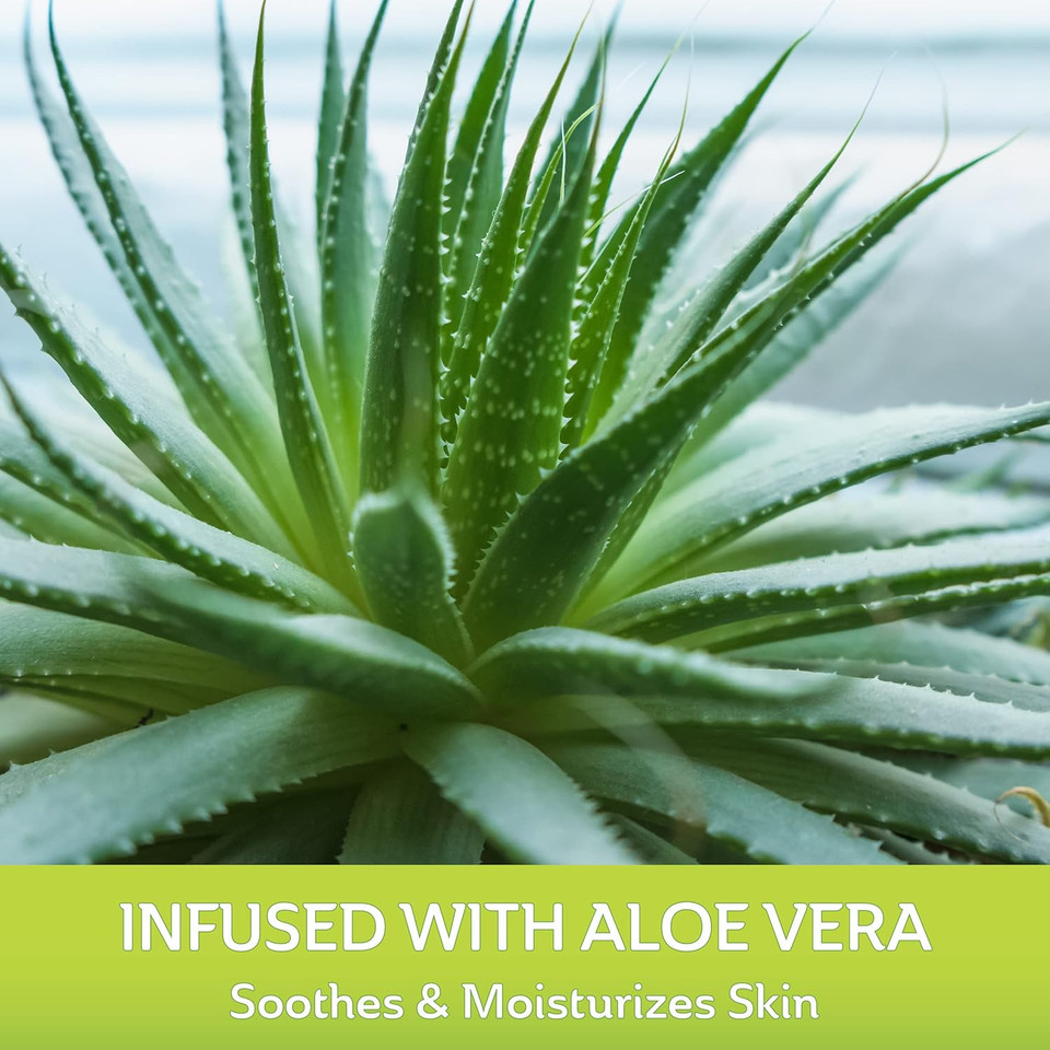 Curad Naturals Ale Vera & Vitamin E Bandages 2" X 4", Individually Wrapped Sterile Bandages, First Aid Kit Essential, Protects Scrapes And Cuts, Absorbent And Self-Adhesive, 8 - Count Box