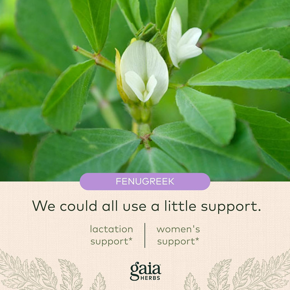 Gaia Herbs Lactation Support - Supports Healthy Milk In Nursing Mothers* - Fenugreek And Fennel Seed - 120 Vegan Liquid Phyto-Capsules (40-Day Supply)