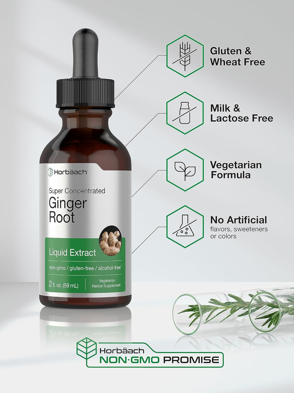Horbã£Â¤Ach Ginger Root Extract Liquid | 2 Oz | Alcohol Free Supplement | Super Concentrated | Vegetarian, Non-Gmo, Gluten Free